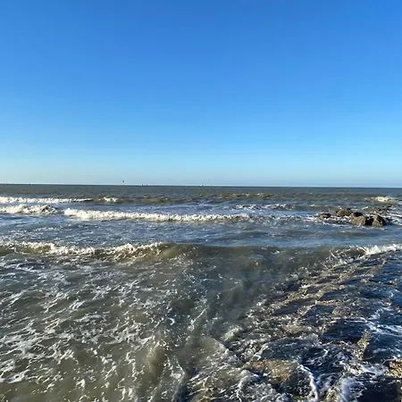 Rozee * Ostende
