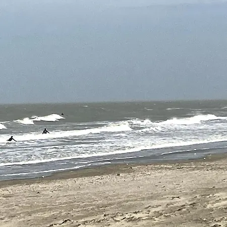 Rozee Ostende